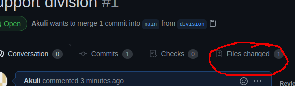 "Files changed" tab next to "Commits" and "Checks" tabs